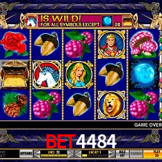 Experiência VIP bet4484